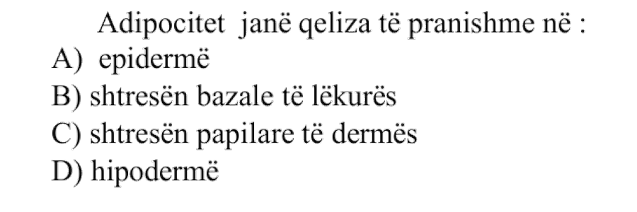 Adipocitet janë qeliza të pranishme në: A) epidermë B) shtresën bazale të lëkurës C) shtresën papilare të dermës D) hipodermë