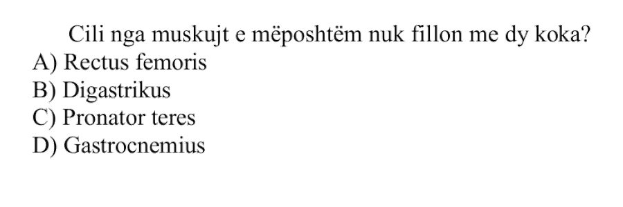 Pyetja 13