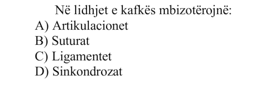 Pyetja 19