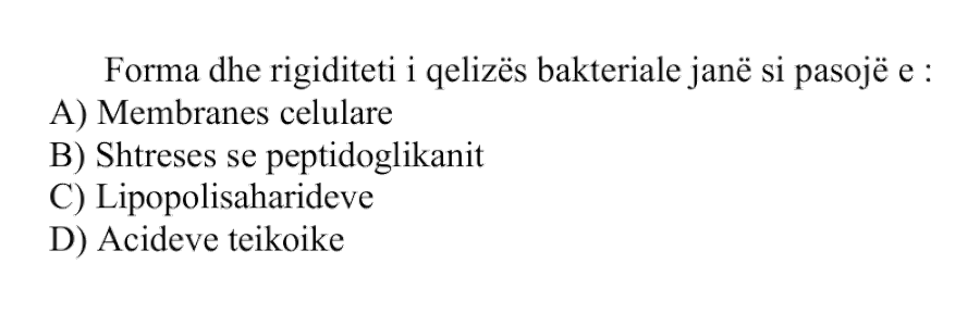 Forma dhe rigiditeti i qelizës bakteriale janë si pasojë e: A) Membranës celulare B) Shtresës së peptidoglikanit C) Lipopolisaharideve D) Acideve teikoike