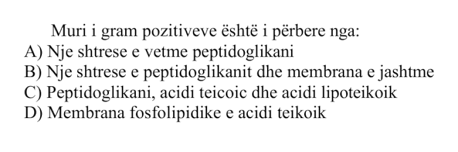 Muri i Gram-pozitiveve është i përbërë nga: A) Një shtresë e vetme peptidoglikani B) Një shtresë e peptidoglikanit dhe membrana e jashtme C) Peptidoglikani, acidi teikoik dhe acidi lipoteikoik D) Membrana fosfolipidike e acidi teikoik
