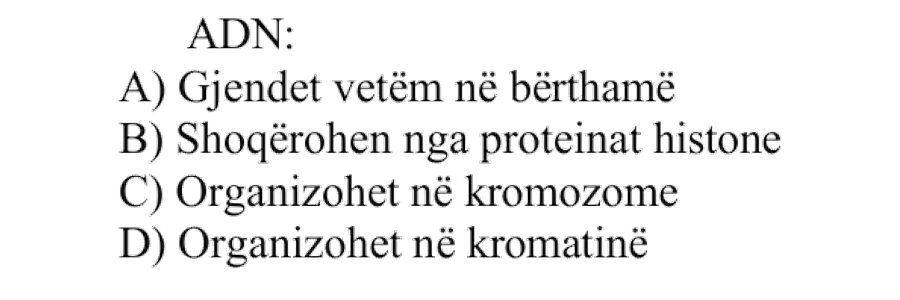 ADN: A) Gjendet vetëm në bërthamë B) Shoqërohet nga proteinat histone C) Organizohet në kromozome D) Organizohet në kromatinë