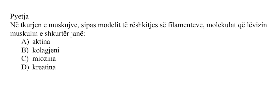 Pyetja 131