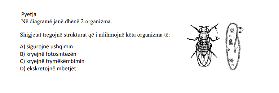 Pyetja 342