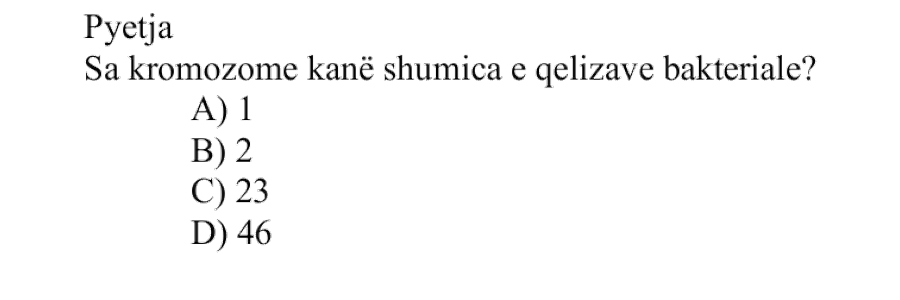 Pyetja 509