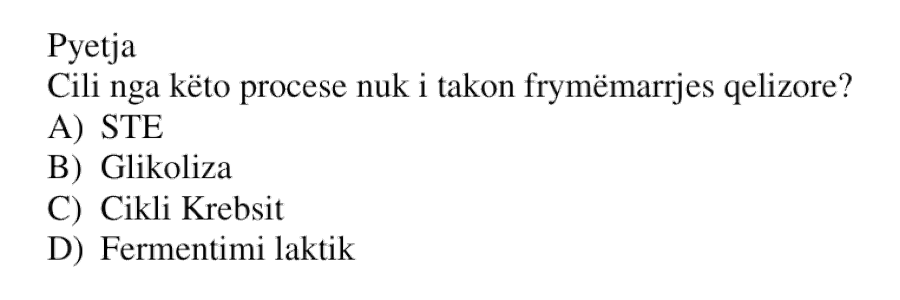 Pyetja 18