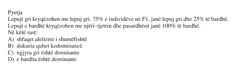 Pyetja 313