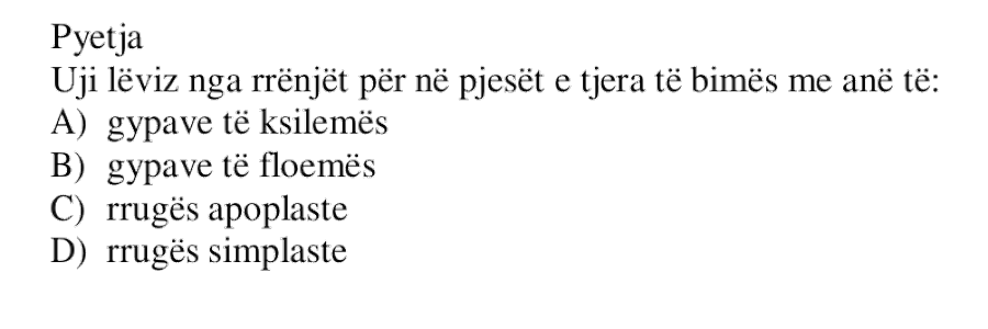 Pyetja 621