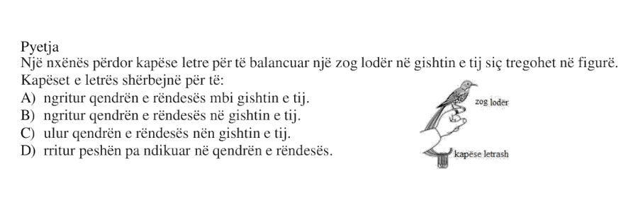 Pyetja 6